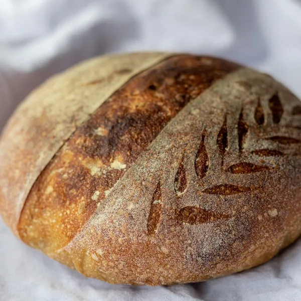 Sourdough Boule