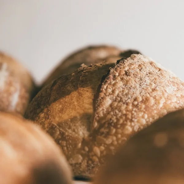 Seeded Multigrain